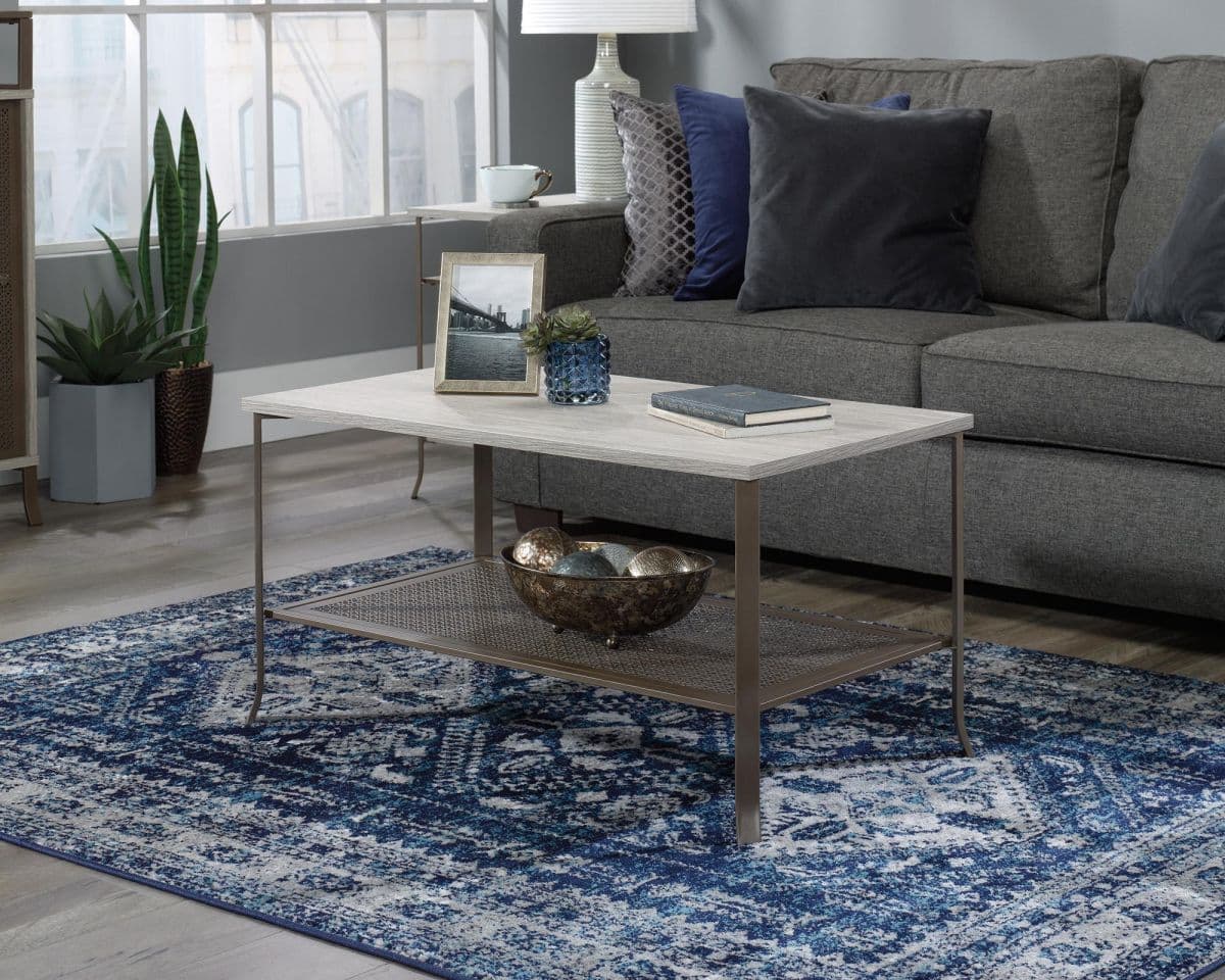 a living room with a gray couch and a blue rug