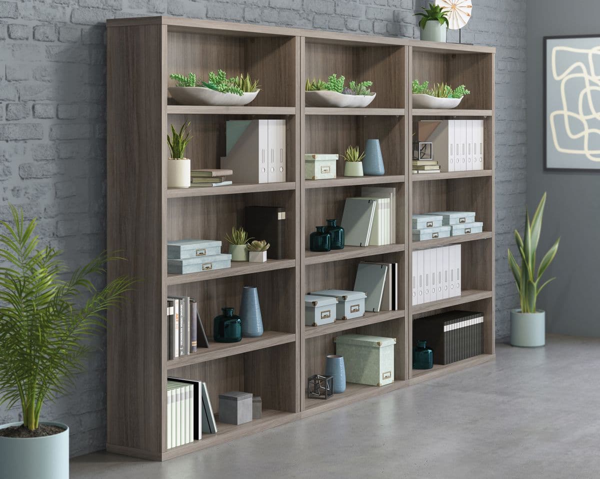 a room with a bookshelf and a potted plant